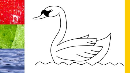 Рисование для детей лебедь