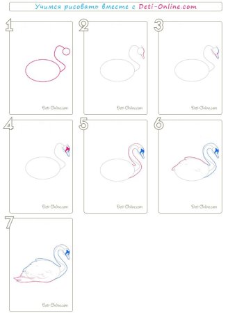 Поэтапный рисунок лебедя