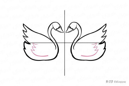 Поэтапное рисование лебедя карандашом