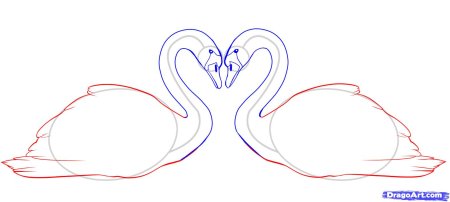 Этапы рисования лебедя для детей