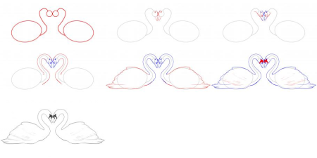 Этапы рисования лебедя