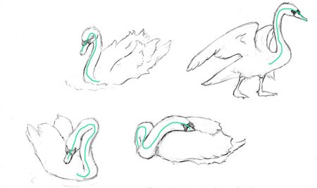 Лебедь туториал