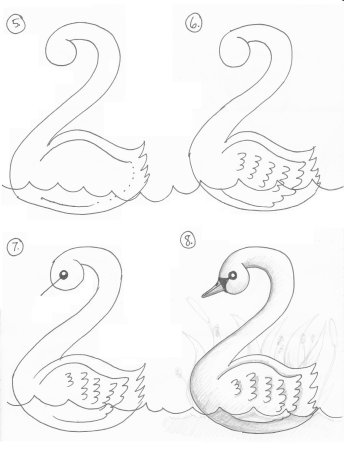 Пошаговое рисование лебедя для детей