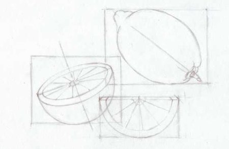 Шаблон лимона для рисования
