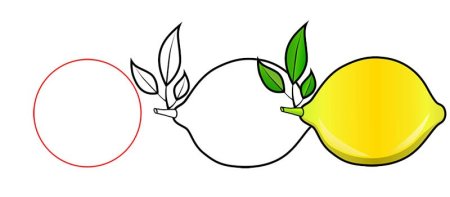 Лимон карандашом