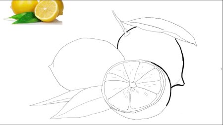 Поэтапное рисование лимона