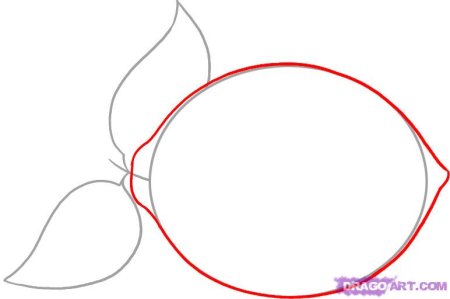 Пошаговое рисование фруктов
