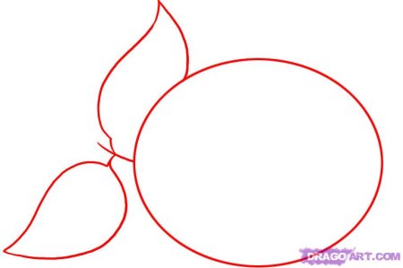 Рисование натюрморта пошагово