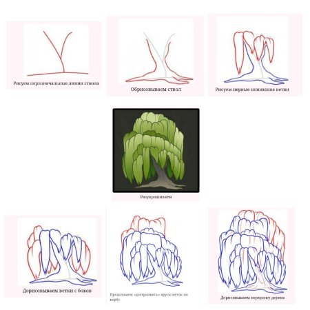 Этапы рисования дерева