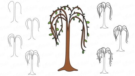 Ветка плакучей ивы