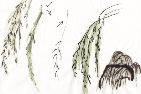 Поэтапное рисование ивы для детей