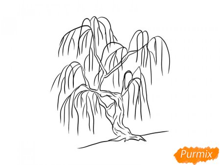 Ива раскраска