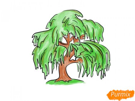 Ива набросок