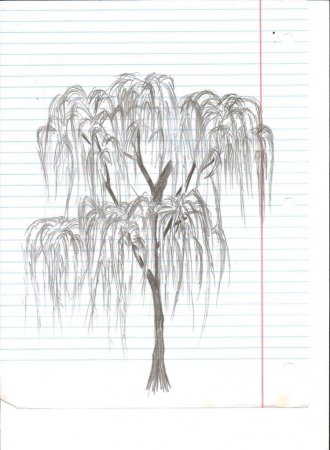 Дерево с поникшими ветками