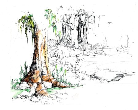 Плакучая Ива эскиз