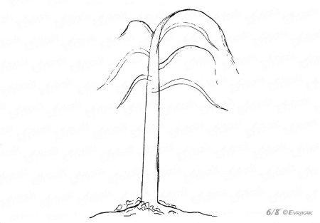 Ива референс