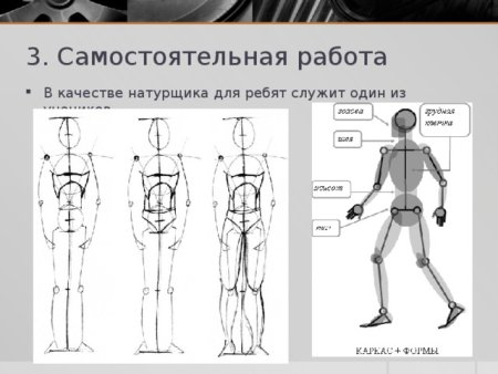 Наброски фигуры человека строение