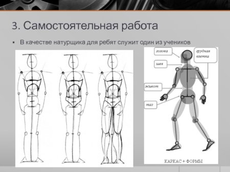 Наброски фигуры человека строение