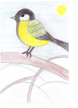 Рисование синички