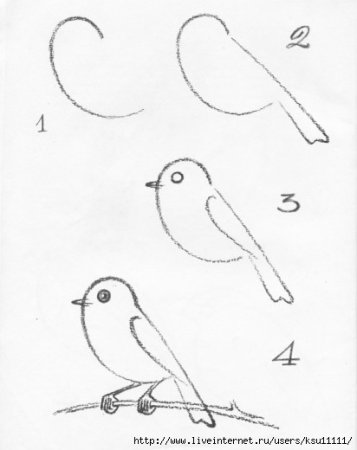 Поэтапное рисование синицы для детей