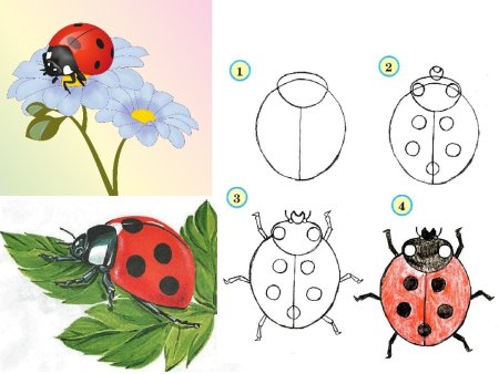 Уроки рисования пастелью