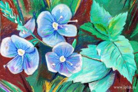 Последовательное рисование пейзажа