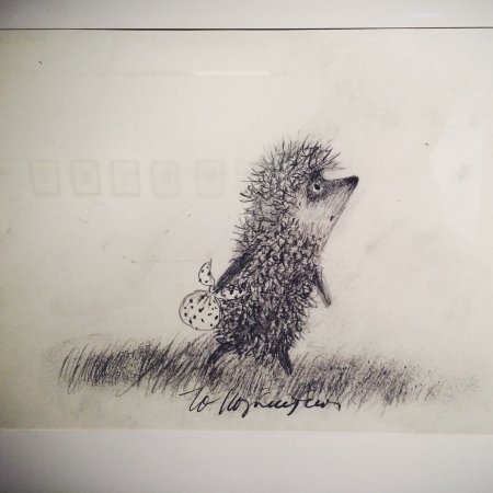 Ежик в тумане Графика