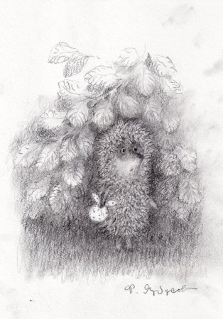 Ежик в тумане