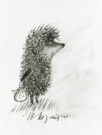 Ежик в тумане