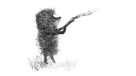 Ежик в тумане черно белый