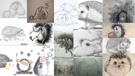 Тату Ёжик эскиз