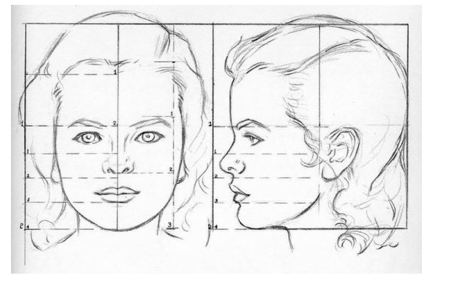 Пропорции женского лица в профиль и анфас