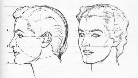 Поворот головы в портрете