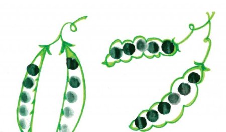 Аппликация горох