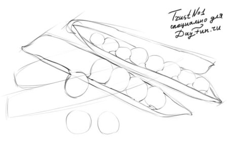 Горох рисунок карандашом