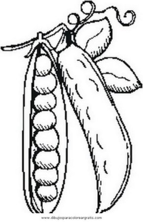 Горох раскраска для детей