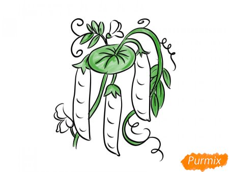 Гороховый куст рисунок