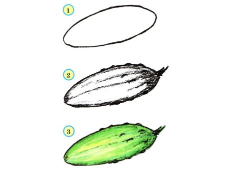 Рисуем огурец поэтапно для детей