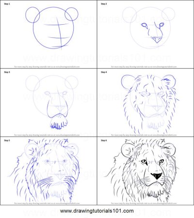 Поэтапное рисование Льва для детей