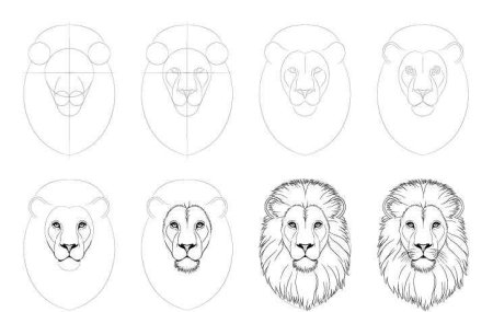 Рисование пошагово Лев для детей