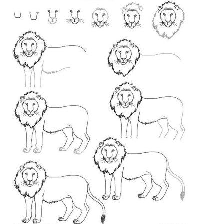 Симба Король Лев рисунок поэтапно