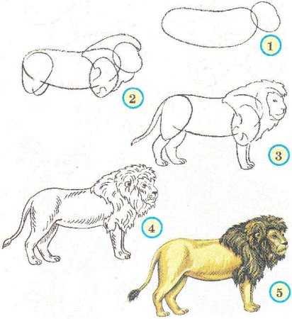 Как нарисовать обезьяну