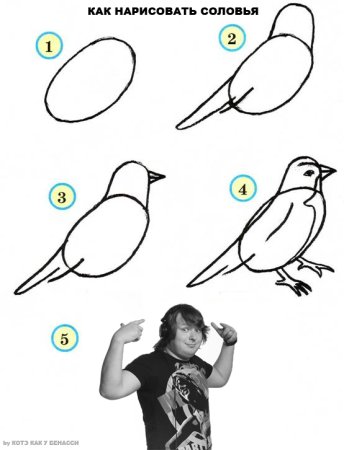 Как нарисовать соловья