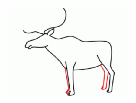 Поэтапный рисунок лося