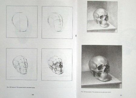 Череп Академический рисунок Обруб