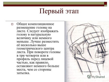 Порядок построения головы человека