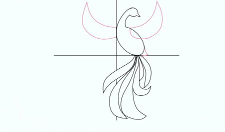 Сказочная птица поэтапное рисование