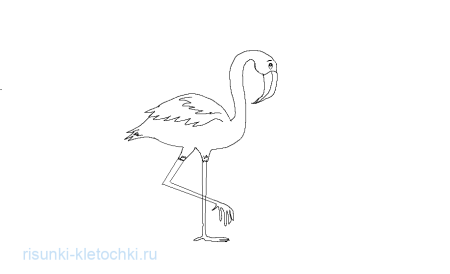 Рисунок Фламинго для детей пошагово