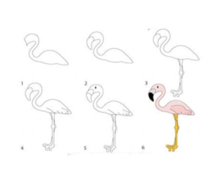 Рисуем Фламинго поэтапно для детей