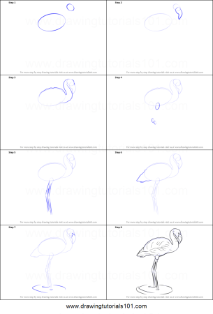 Рисование с детьми Фламинго